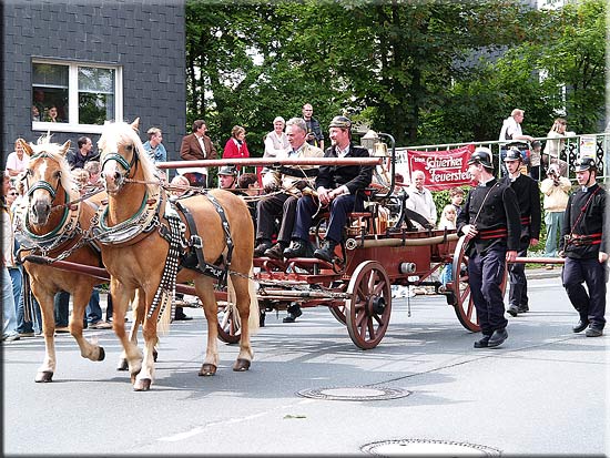 Umzug 0214.jpg